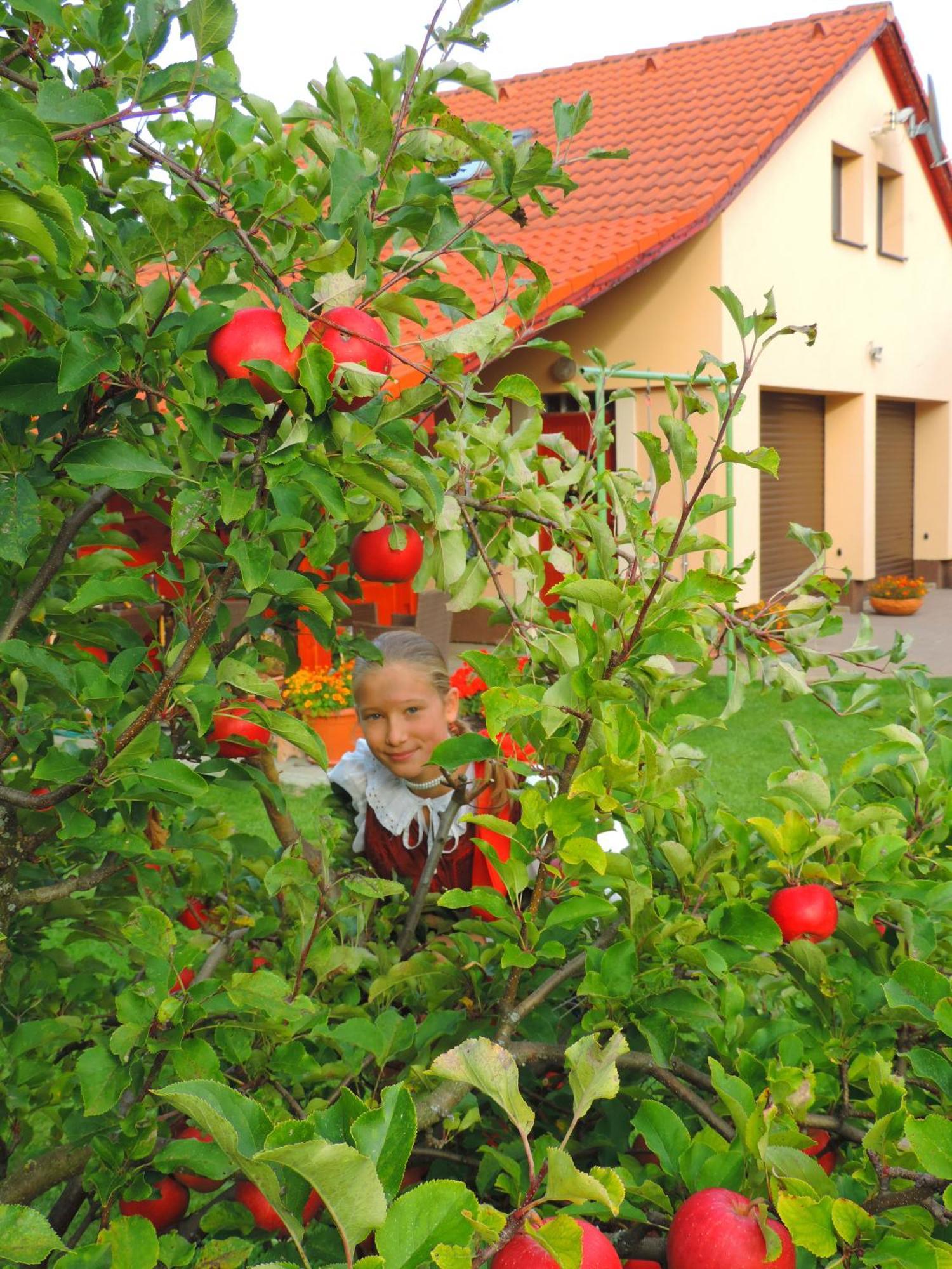 Holiday Home Linda Liptovský Mikuláš 外观 照片